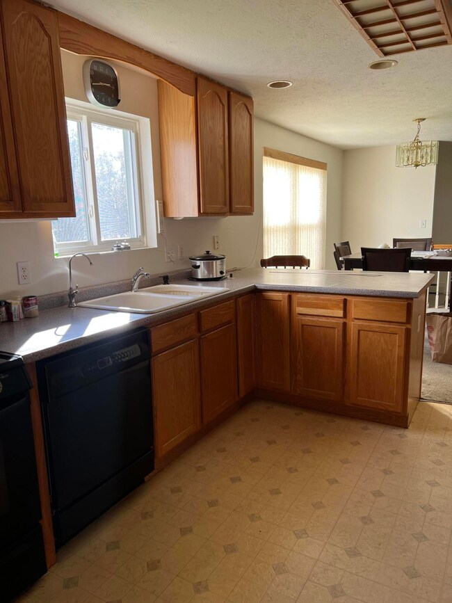 28 McGill Fern Rd