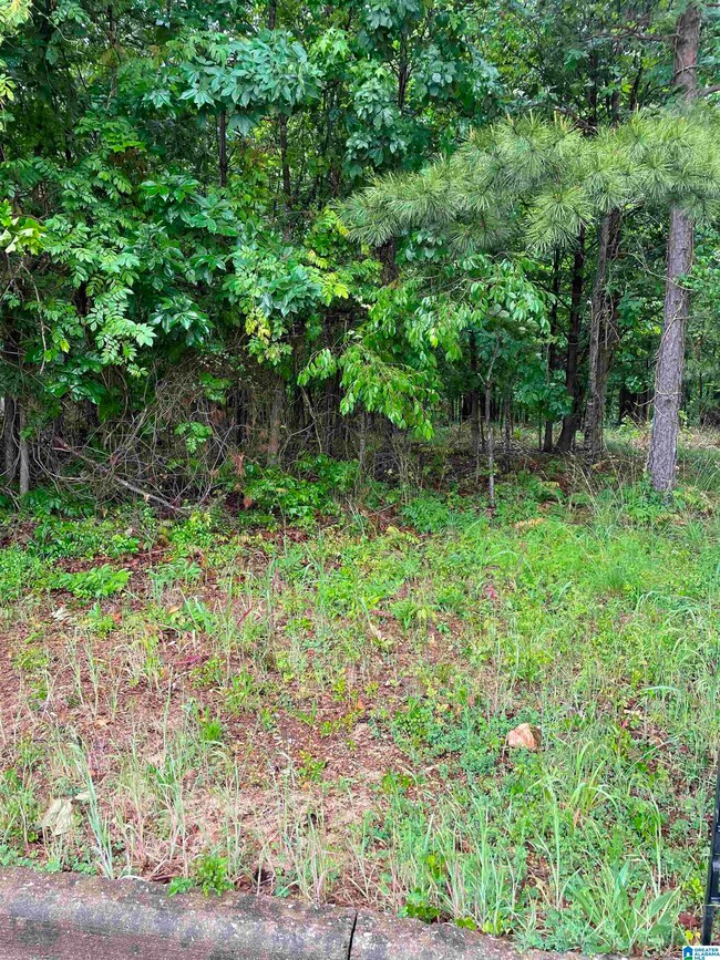 0 Eagle Pass Way unit 33 1353486, Anniston, AL 36207 - photo 6