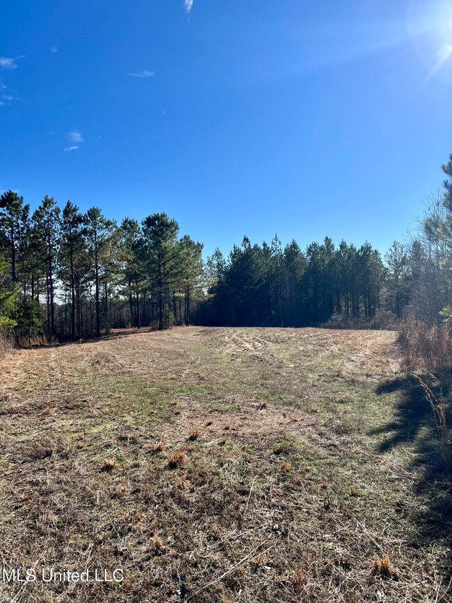 Photo Feb 09 2023, 3 00 04 PM