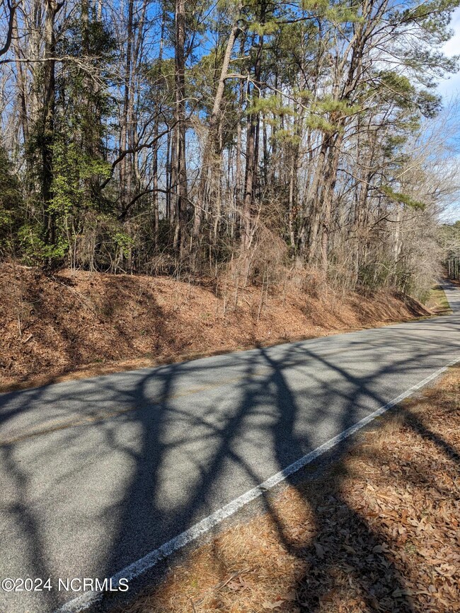 PXL_20240215_172801778