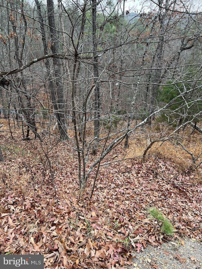 0 Hampton St unit VASH2013120, Basye, VA 22810 - photo 3