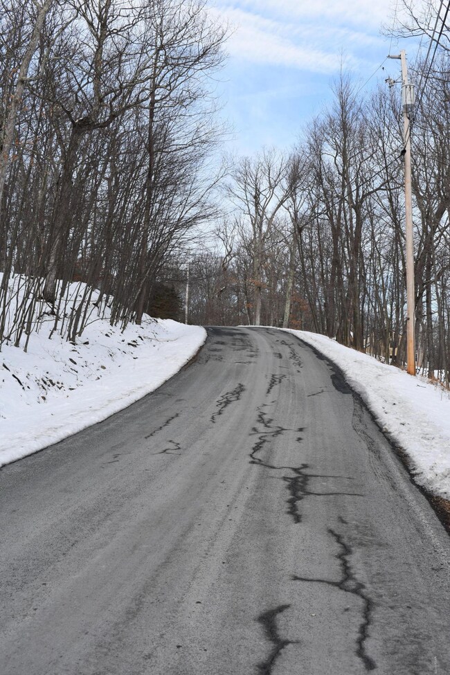 Lot 725 Locust Dr, Dingman Township, PA 18337 - photo 6