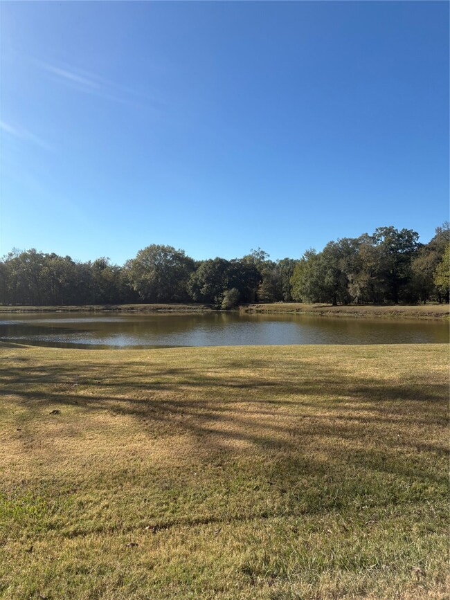 195 Center St, Cleveland, TX 77327 - photo 7