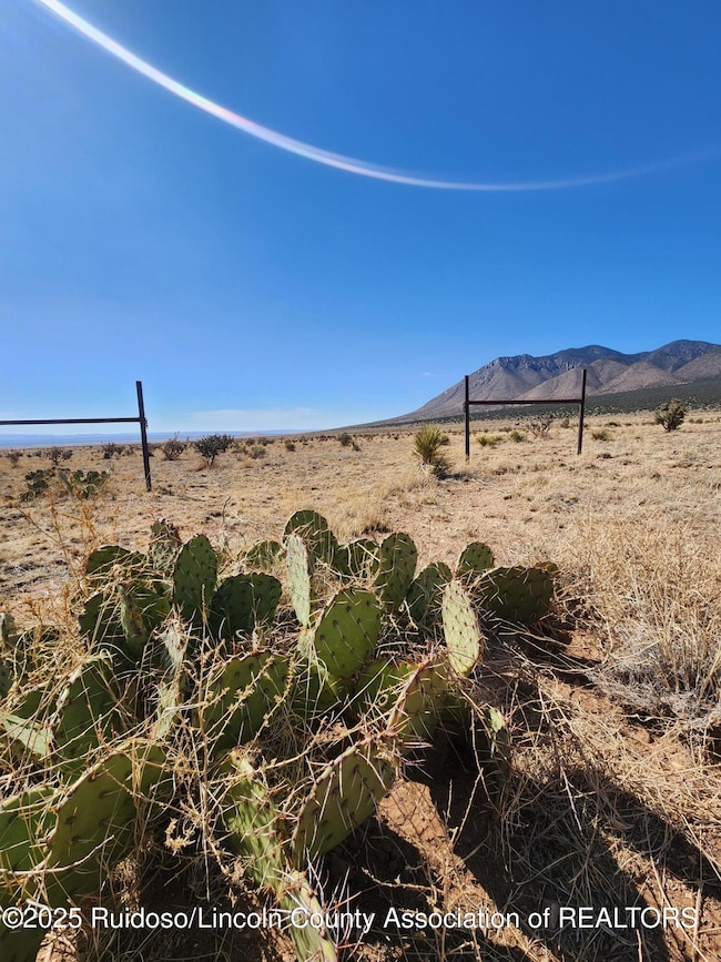 L4 O Bar O Rd, White Oaks, NM 88301 - photo 3