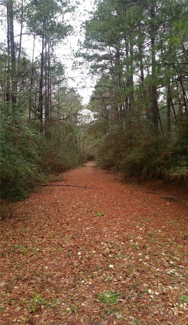 28040 Crossway Oaks, Magnolia, TX 77355 - photo 4