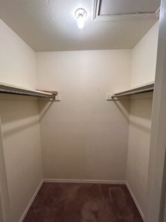 Walk in closet featuring dark carpet