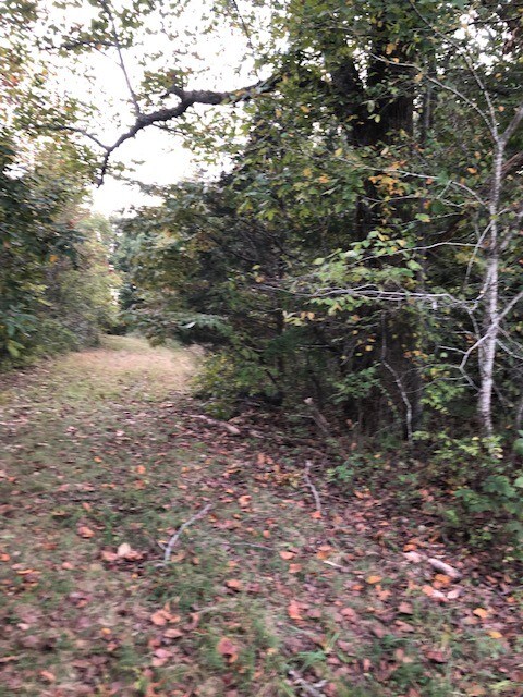 0 Cowhorne Hollow Rd unit RTC2300968, Prospect, TN 38477 - photo 7