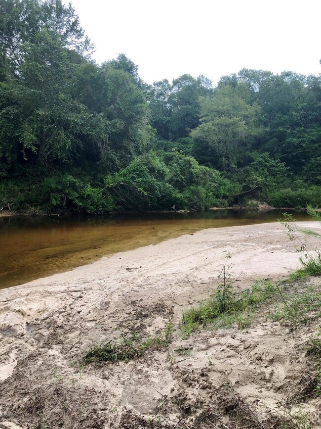 193 Shep Batson Rd 9