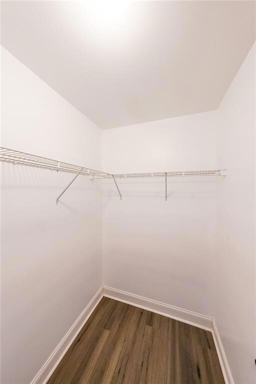 Spacious closet featuring dark wood-style flooring