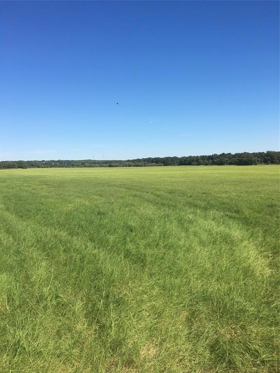 2004 Newberry Rd, Millsap, TX 76066 - photo 7