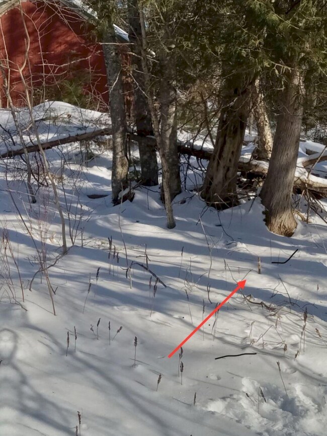 2 - Northernly pin