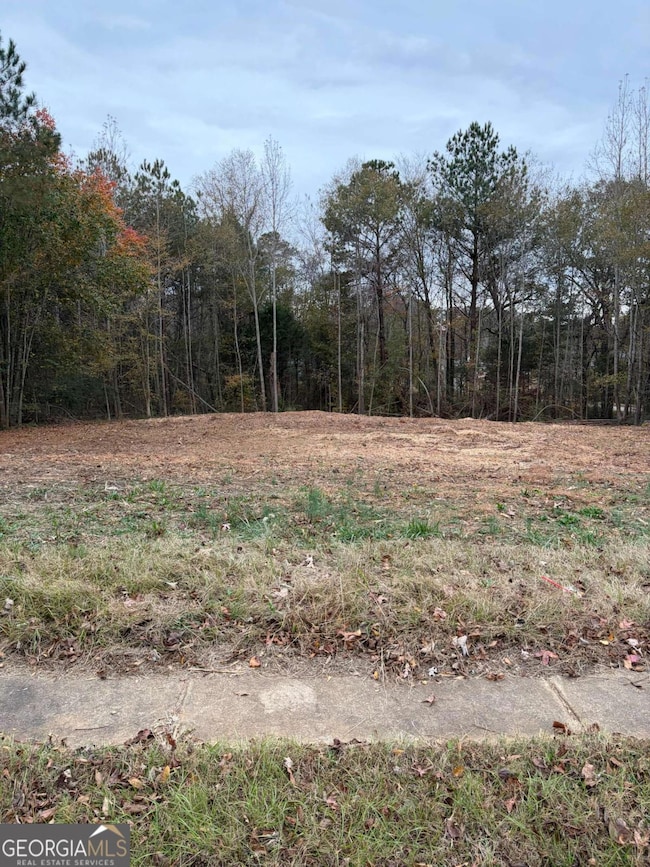 1105 Patriot Cir, McDonough, GA 30252 - photo 2