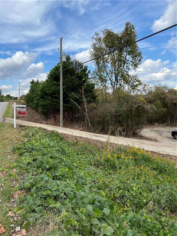 View From the edge of the lot into the lot itself.