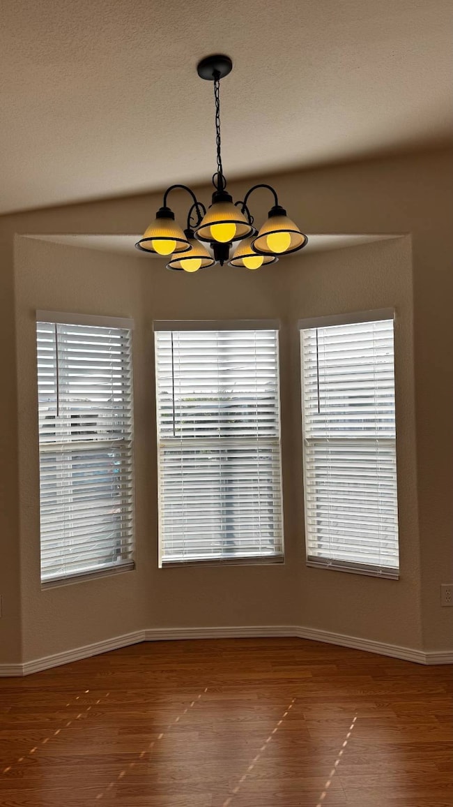 Bay Windows