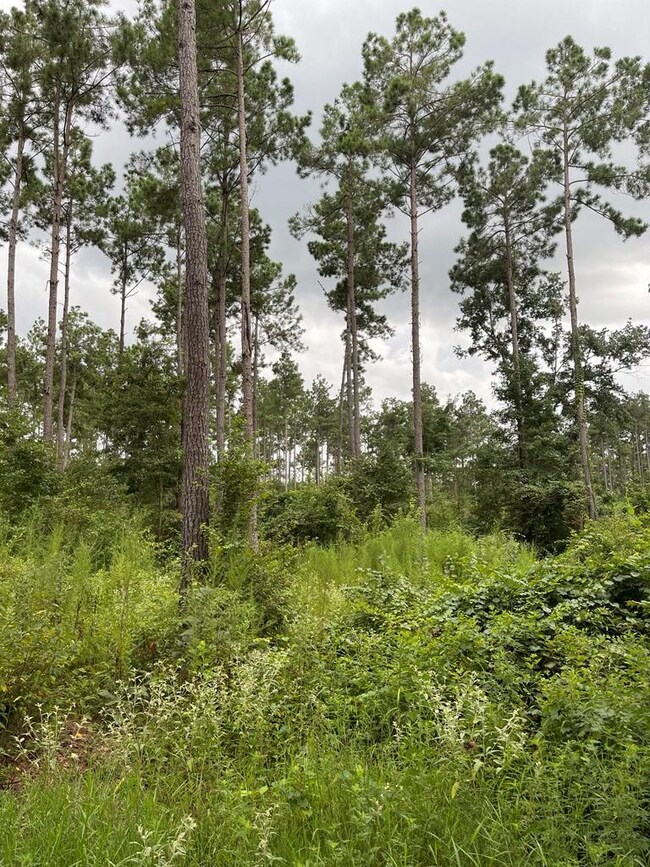 2235 Cr 620, Nacogdoches, TX 75964 - photo 4