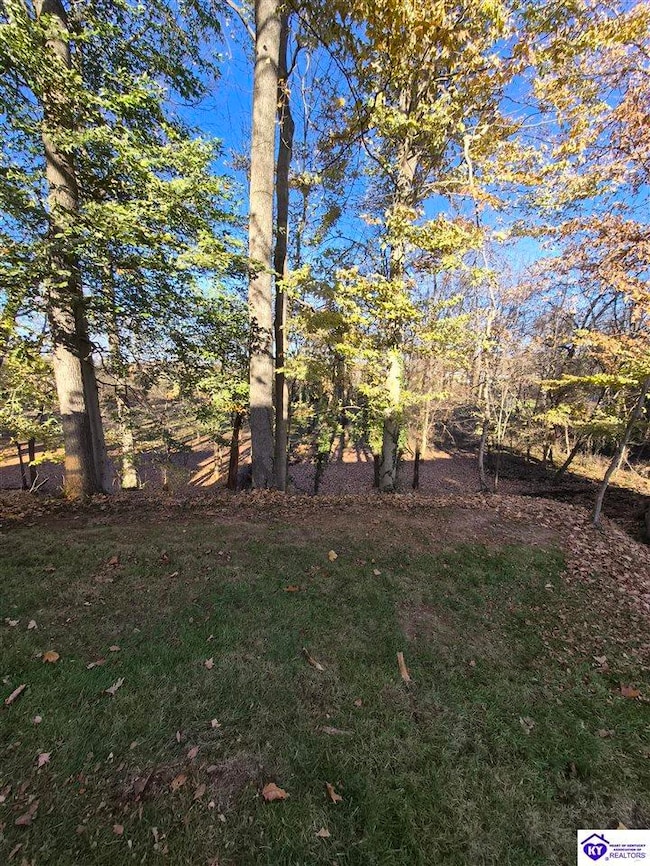 118 Sawgrass Ave, Vine Grove, KY 40175 - photo 6