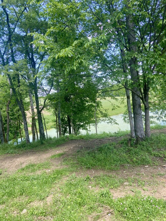 0 Mclaughlin Ln unit RTC2656474, Shelbyville, TN 37160 - photo 7