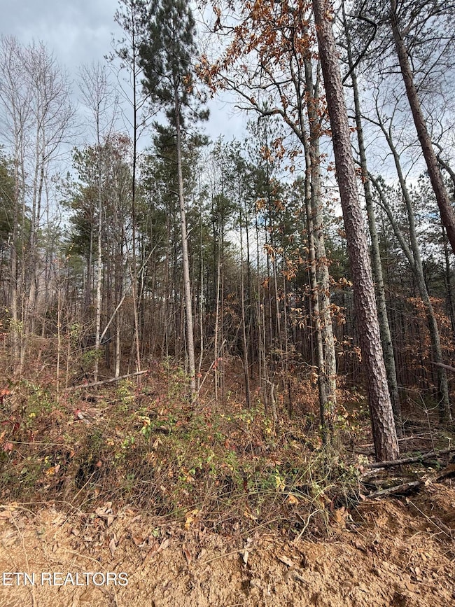 Lot 2 Parksville Rd, Benton, TN 37307 - photo 3