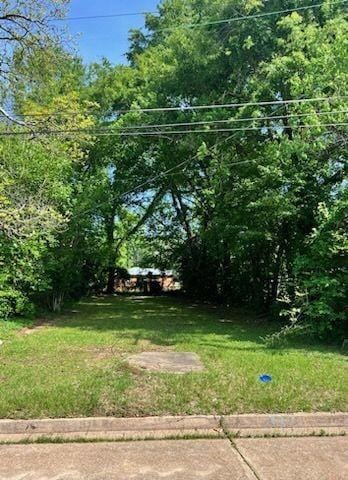 3312 Levin St, Alexandria, LA 71301 - photo 2