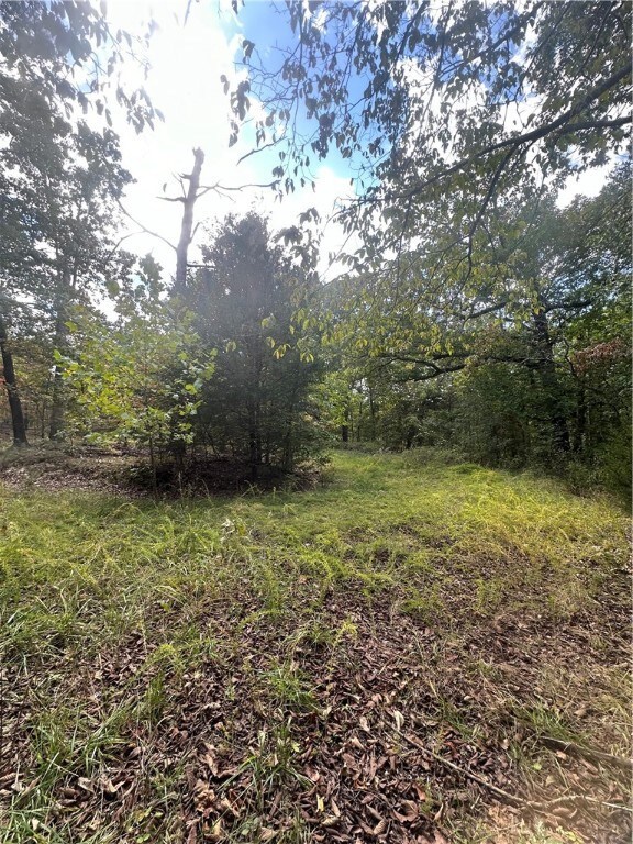 Lot 12 Blk 2 Bracknell Ln, Bella Vista, AR 72715 - photo 5