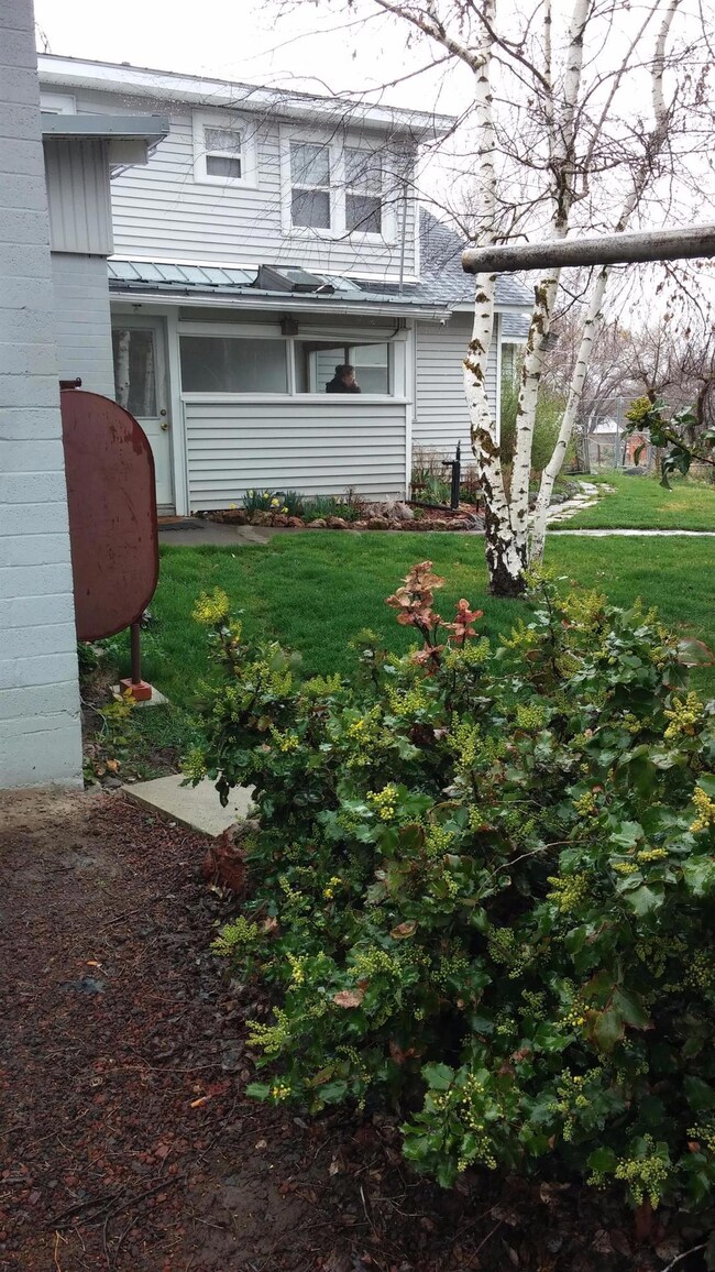 Additional Photo