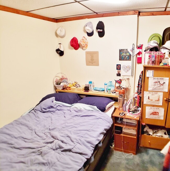 412 E Walnut St, Oglesby, IL 61348 - photo 6