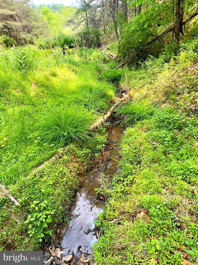 15 ac Honeycomb Ln, Sugar Grove, WV 26815 - photo 6