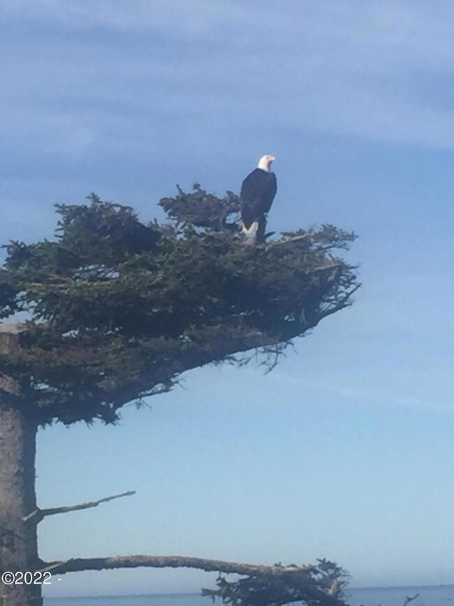 2331 SW Bard Loop, Lincoln City, OR 97367 - photo 6