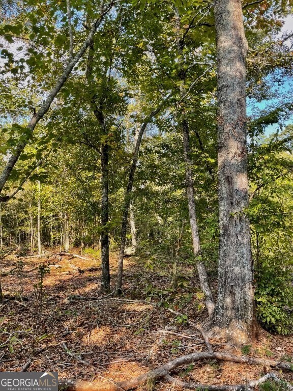 0 E Highway 36 unit 10652570, Jackson, GA 30233 - photo 6