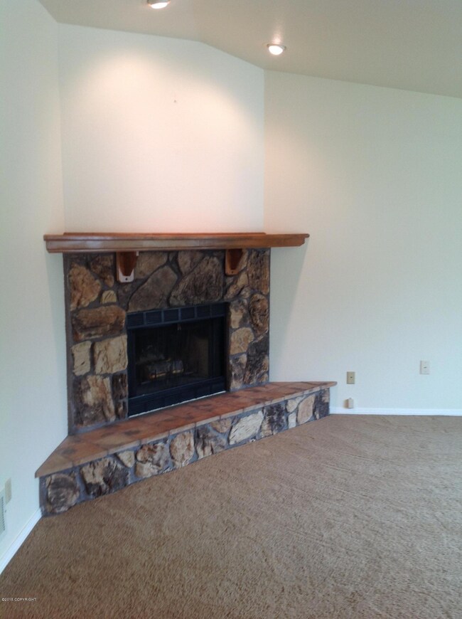Living room fireplace