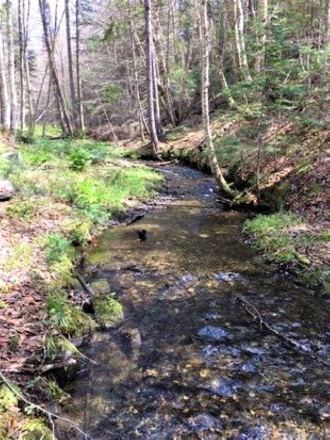 Lot 1 Gulch Brook Dr, Stewartstown, NH 03576 - photo 6