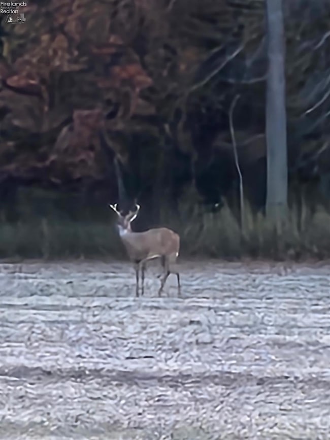 0 Section Line Rd unit 20253852, New London, OH 44851 - photo 2