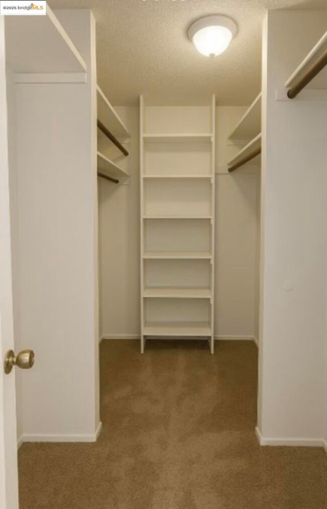 Spacious closet with carpet floors