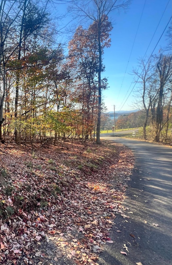 0 Boxwood Ln, Jefferson City, TN 37760 - photo 2