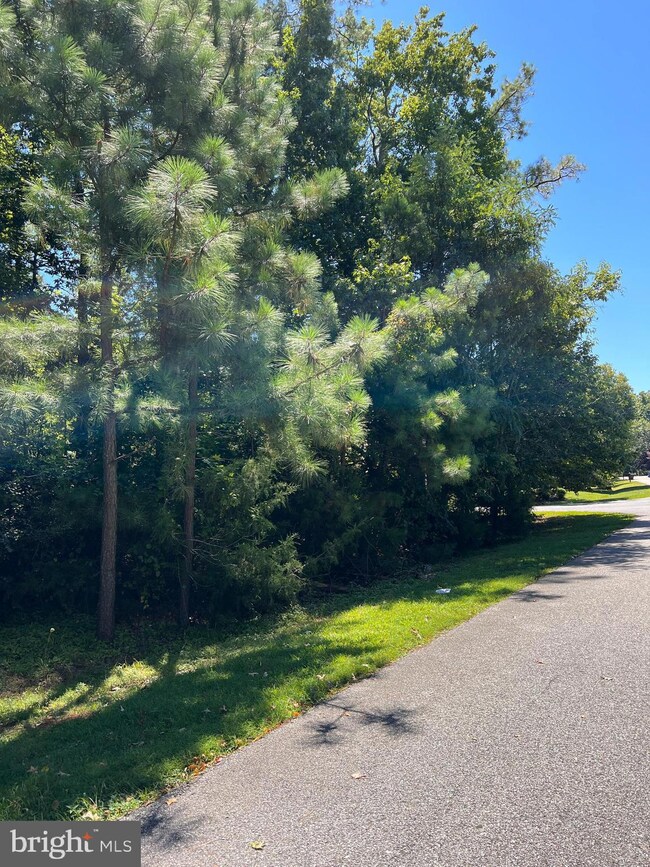 14780 Mohawk Dr, Issue, MD 20645 - photo 4