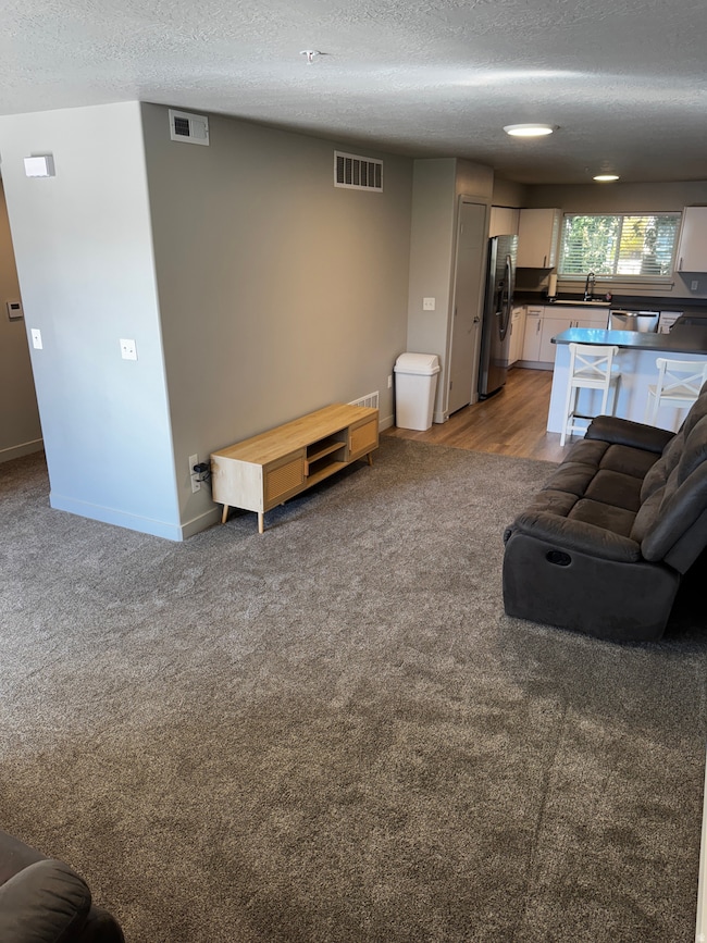 Living room featuring a textured ceiling and carpet flooring