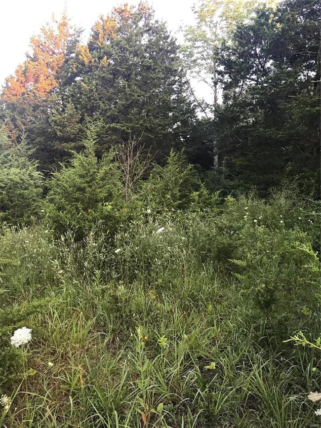 415 Cedar View Dr, Lonedell, MO 63060 - photo 5