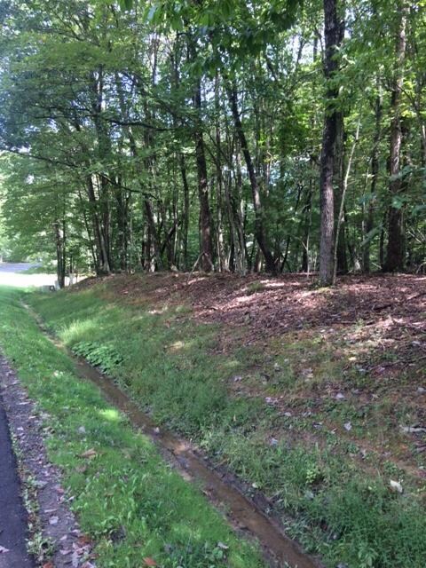 114 Greenbrier Rd unit 14, Daniels, WV 25832 - photo 3