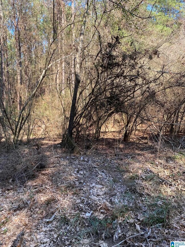 0 Crestwood Rd unit 116 1311025, Talladega, AL 35160 - photo 7