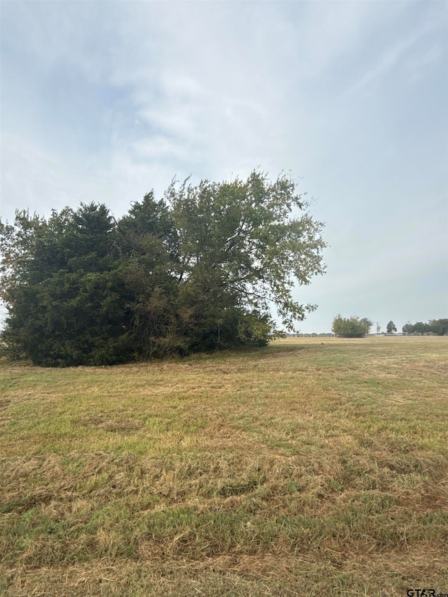 Lot 45 Canal St, Corsicana, TX 75109 - photo 3