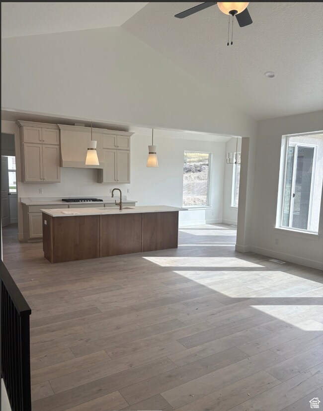 Kitchen featuring open floor plan, an island with sink, custom exhaust hood, dark wood-type flooring, and ceiling fan