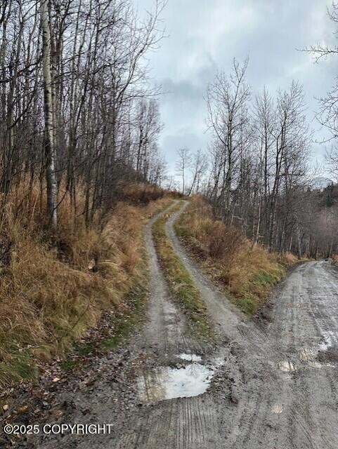 000 Bulgaria Dr, Anchorage, AK 99516 - photo 5