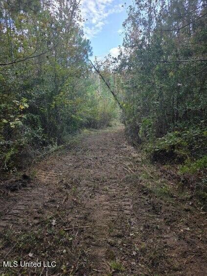 125 Moses Ln, Prentiss, MS 39474 - photo 7