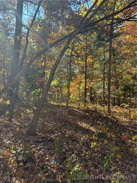 10.4 ac State Highway T, Stover, MO 65078 - photo 3