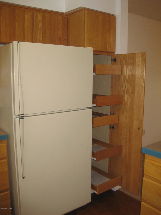 Pantry with pull out shelves