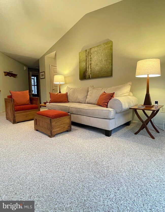 461 Stuart Dr, Basye, VA 22810 - photo 6