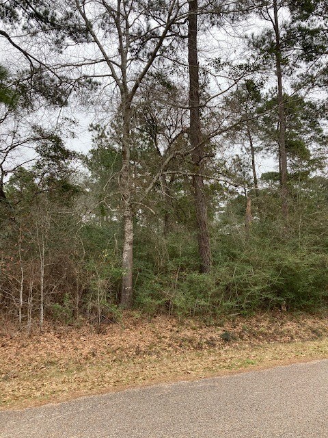 0 Lazy Hollow Ln, Hockley, TX 77447 - photo 4