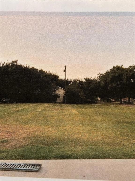 View of yard at dusk