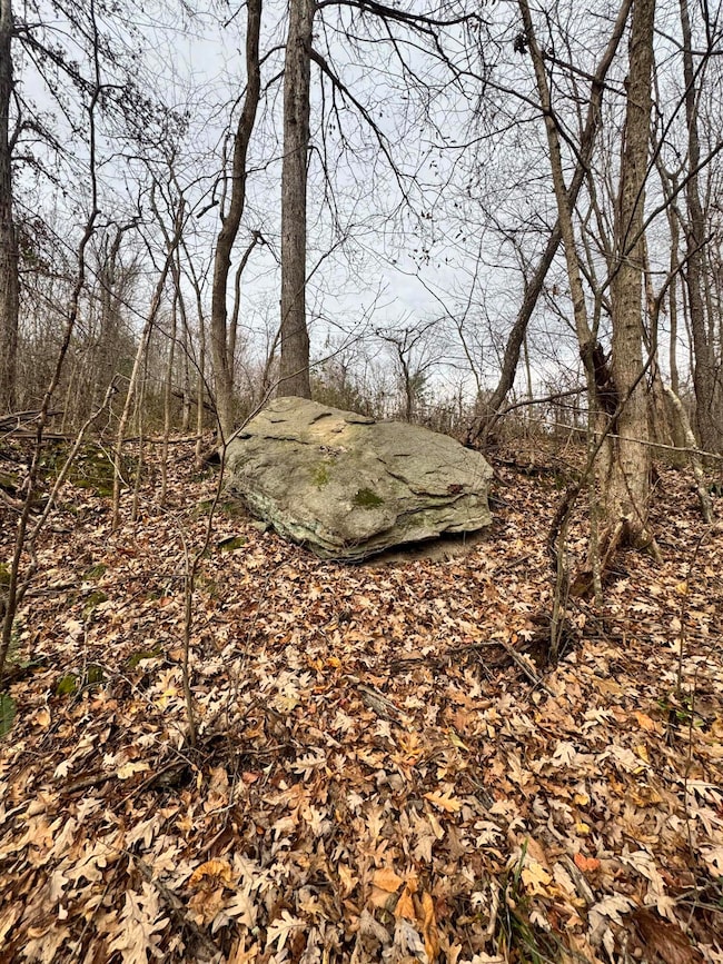 7099 Furnace Rd, Stanton, KY 40380 - photo 5