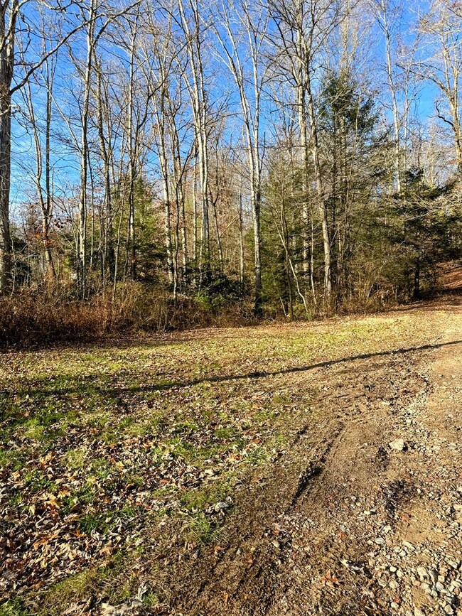 83 Farris Ln, Fayetteville, WV 25840 - photo 6